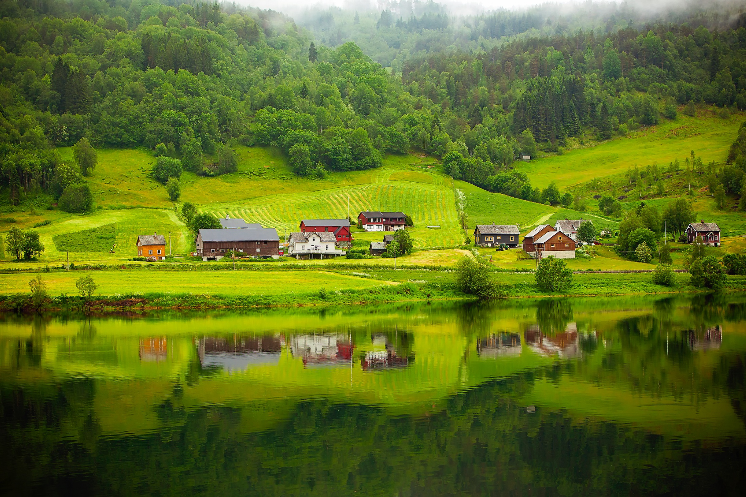 lyngdal (4).webp
